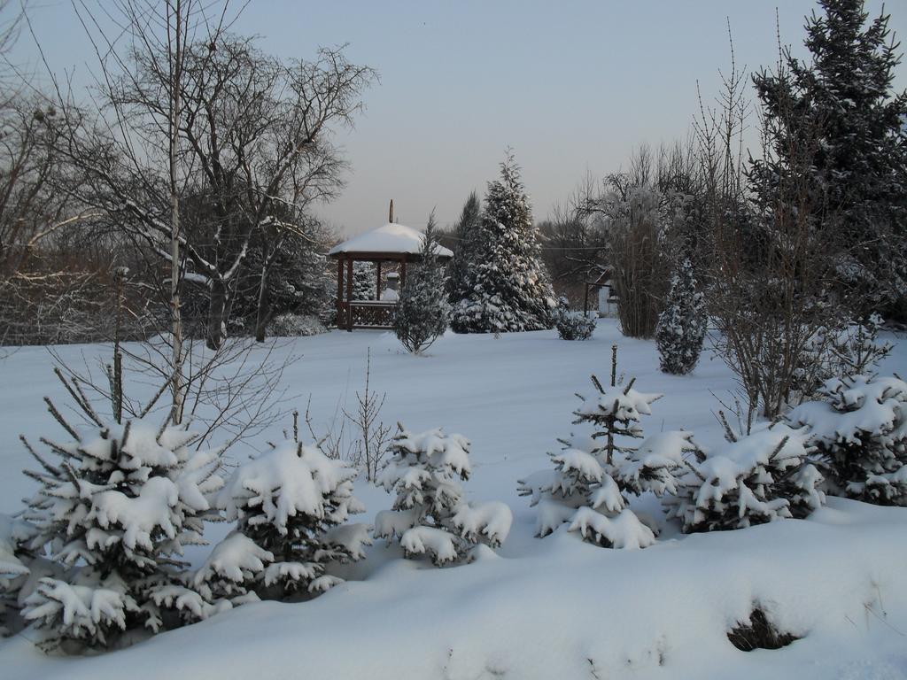 Hoffmann Vendégház Nagyrákos Quarto foto